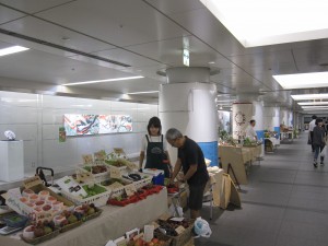 IMG_7512