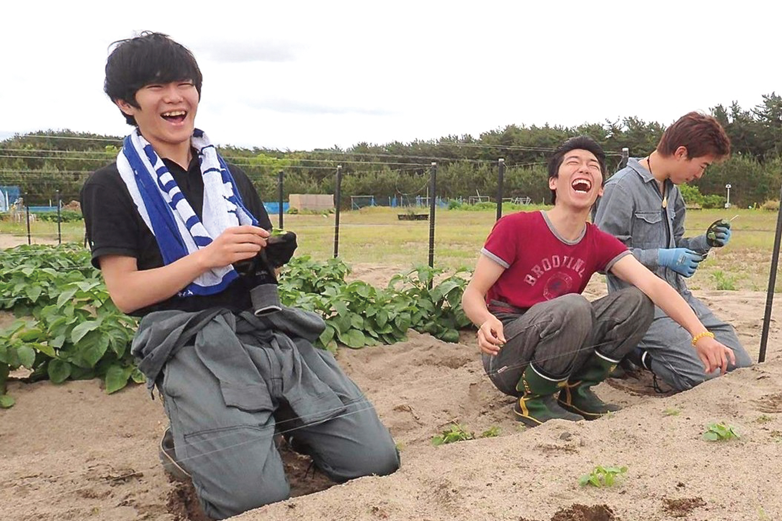 イメージ画像