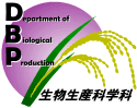 Logo Mark