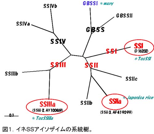 Fig1