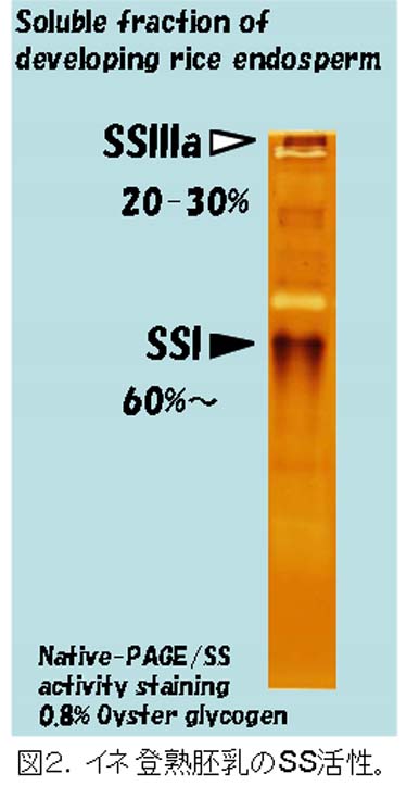 Fig2