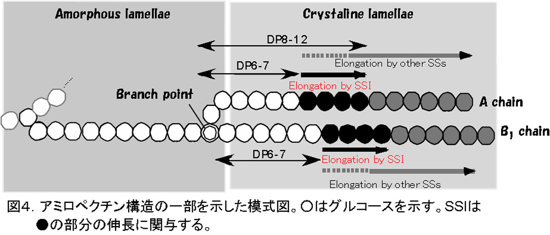 Fig4
