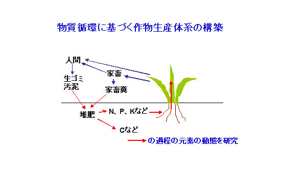ダミー画像