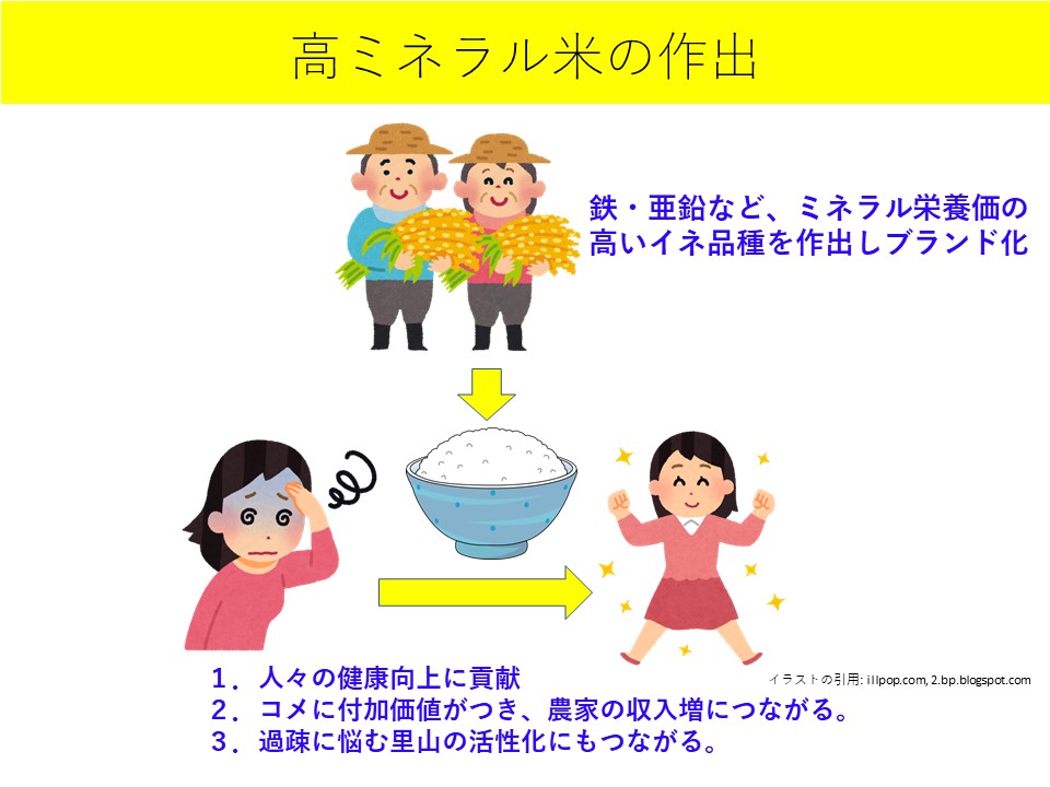 画像の説明