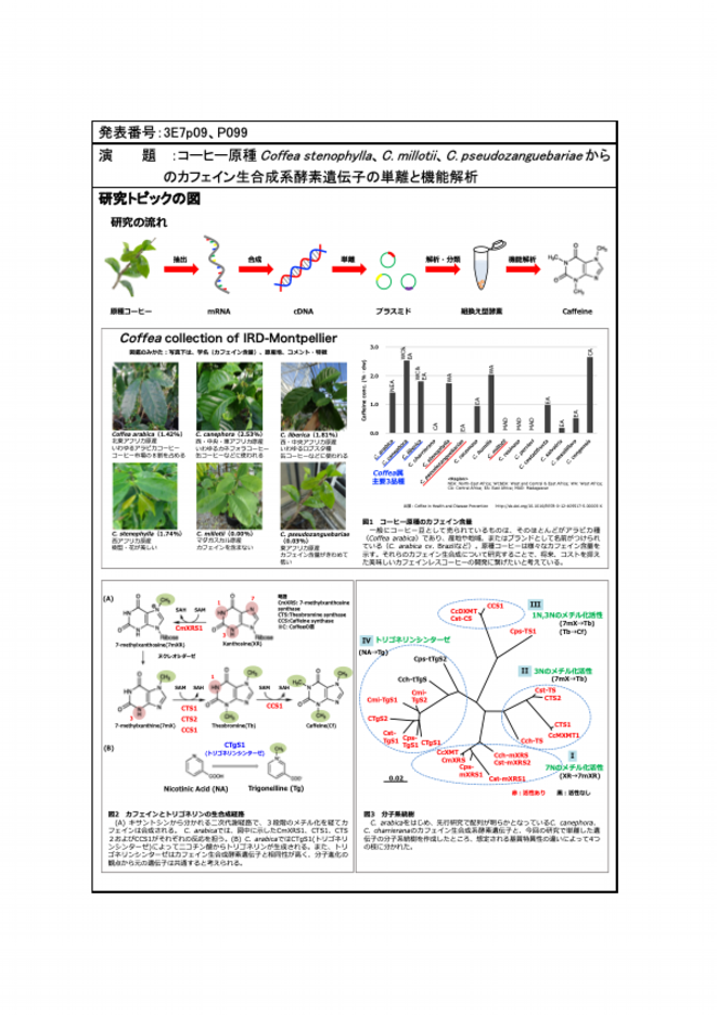 TP2.pdf