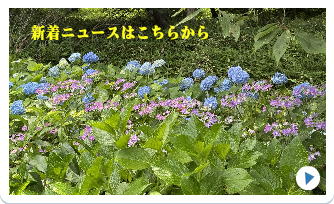 あなたも参加しませんか？