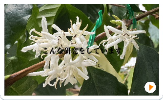 あなたも参加しませんか？