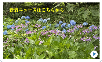 あなたも参加しませんか？