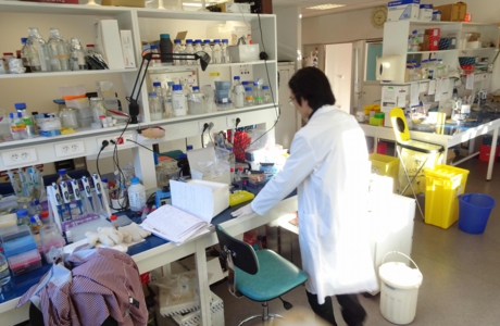 IRD-lab.jpg