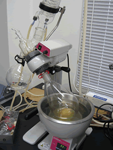 extract3.gif