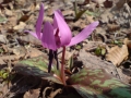 DSC00091.JPG