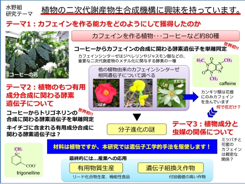 A03-3 酵素を誤作動させる分子による酸化反応の遷移状態設計
