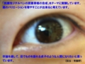 sawa2013.jpg