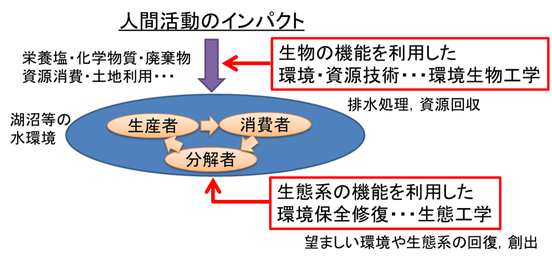 生態工学とは？