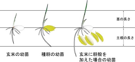 �C�l�c�c����