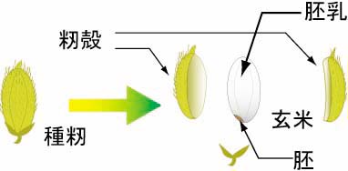 ����ƌ��Đ}��