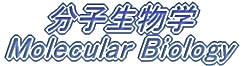 qw Molecular Biology 