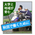 ふるさとキャリア