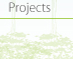 Projects