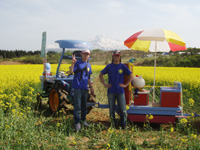 菜の花まつり2010