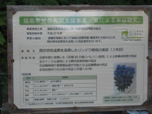 夏期ゼミ合宿 029