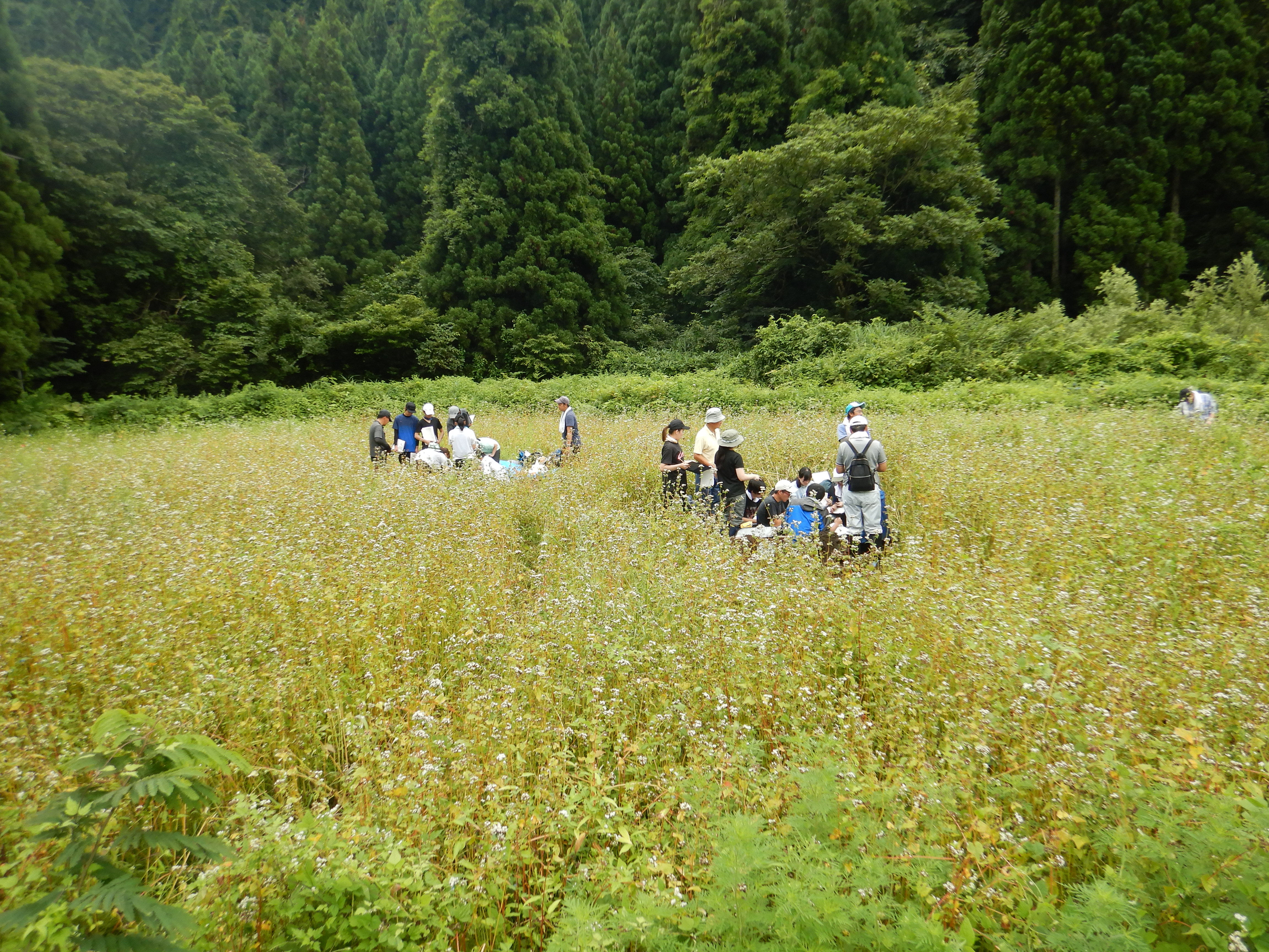 土壌調査