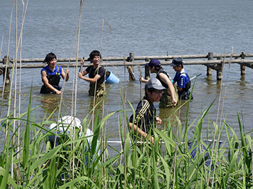 大潟村の農地・用排水路の見学と八郎湖の生き物調査