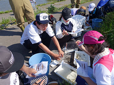 大潟村の農地・用排水路の見学と八郎湖の生き物調査