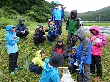 河川の水質調査