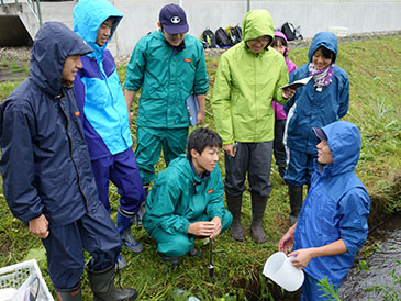 河川の水質調査