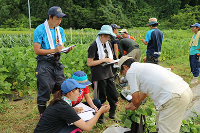 植物の調査