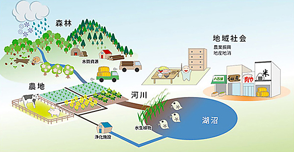 生物環境科学科