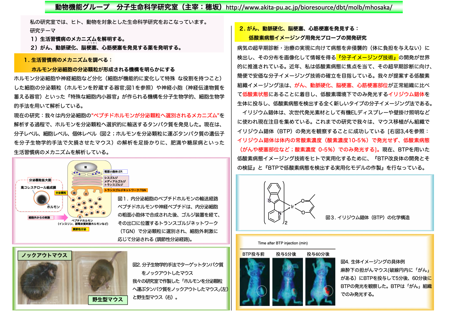 プロフィール画像