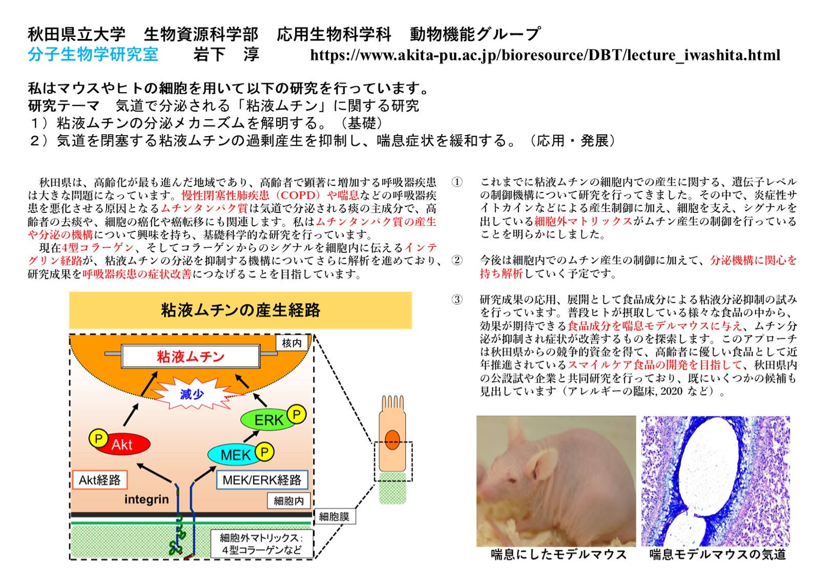 プロフィール画像