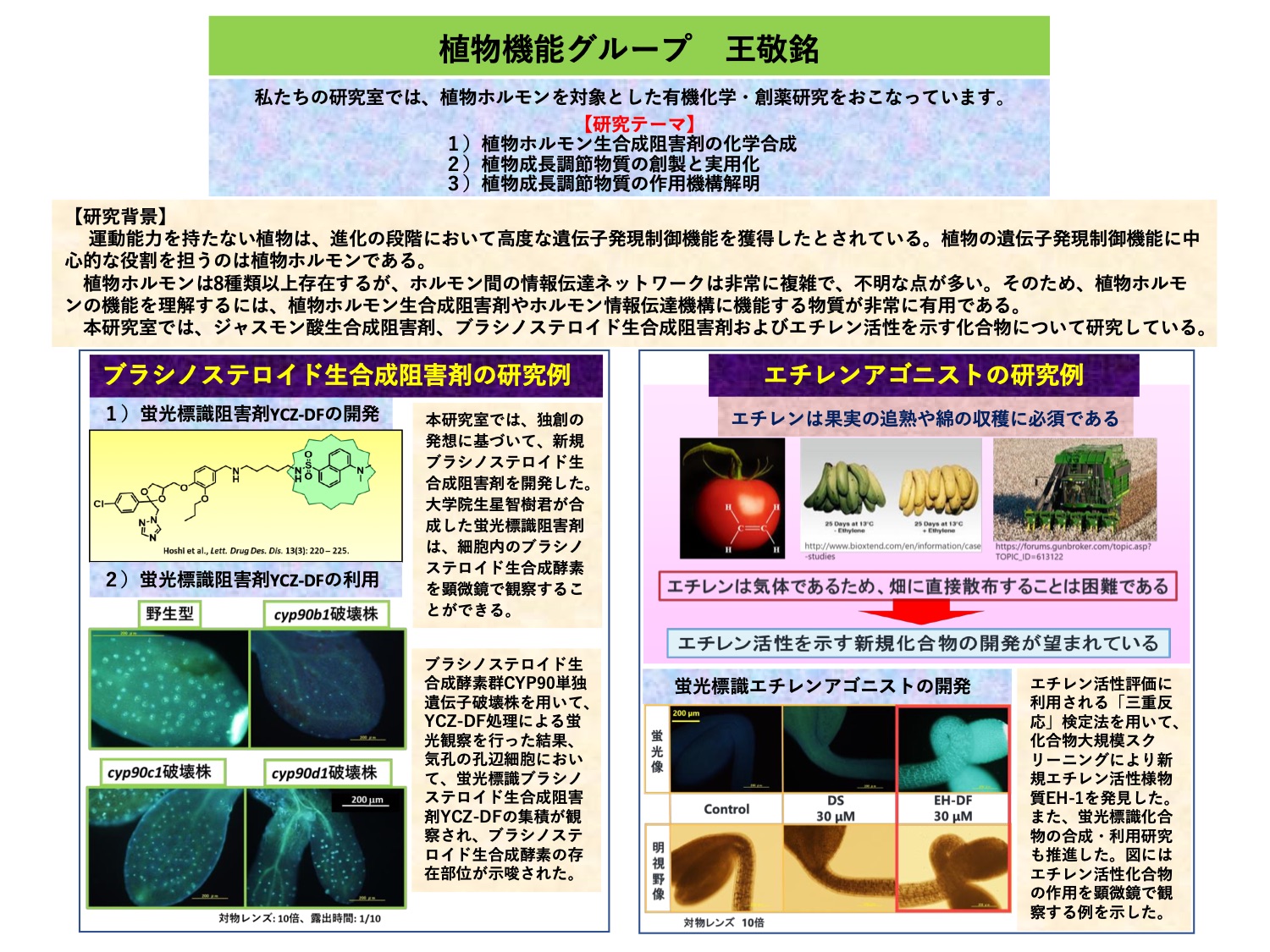 プロフィール画像