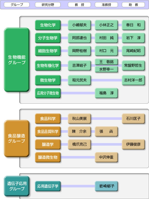 教員紹介
