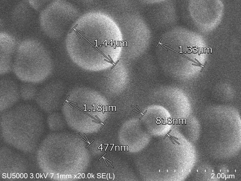 ナノプラスチック粒子の電子顕微鏡像