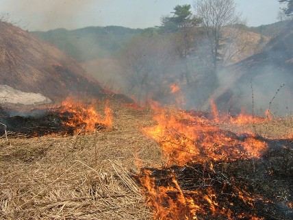 三ツ方森の山焼きにて地元の方々と記念写真