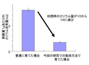 ogawa.jpg ogawa.jpg