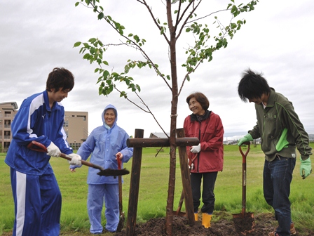 雨がちらつく中で植樹