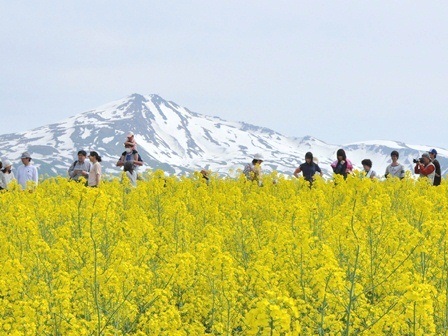 鳥海山を望む絶好のロケーション