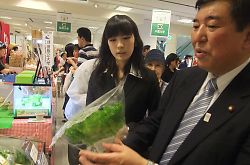 低カリウム野菜の説明を受ける石破茂氏。