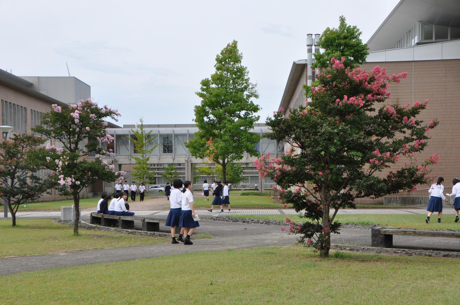 新屋高校の１年生が本学を見学しました